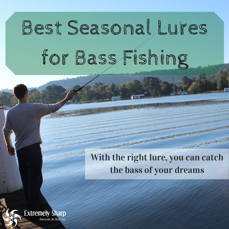 Best Seasonal Lures for Bass Fishing