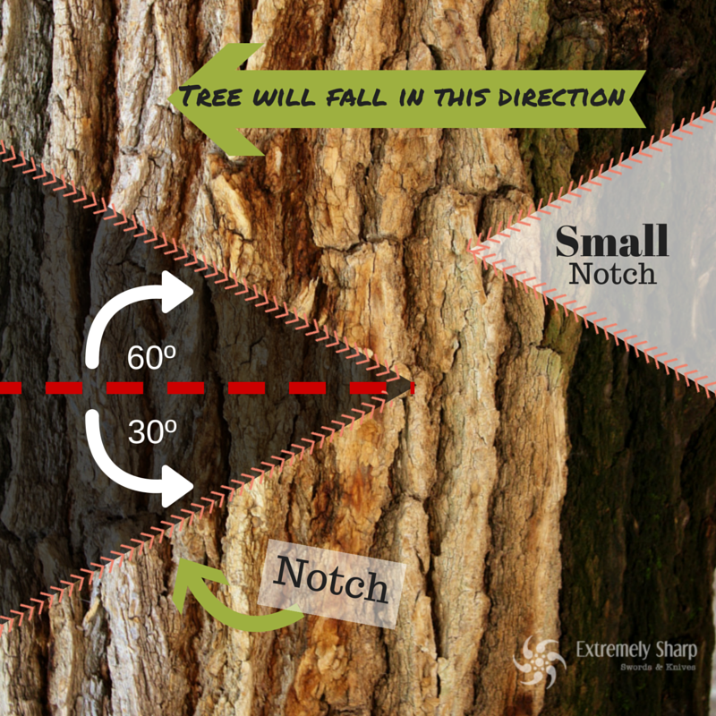 Diagram of cutting down a tree with an axe | Learn more on the ESlife blog 