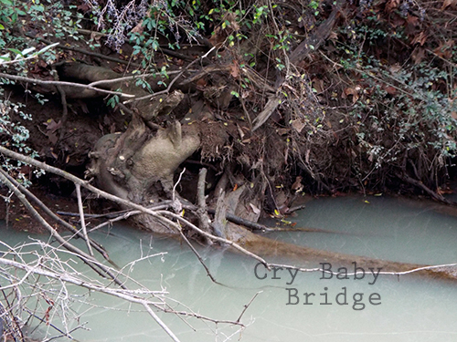 Hiking Trails: Cry Baby Bridge
